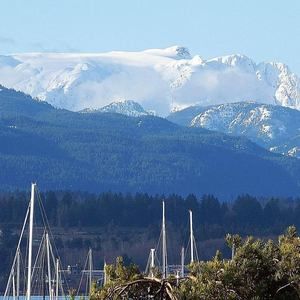 Meet your Posher, Jan